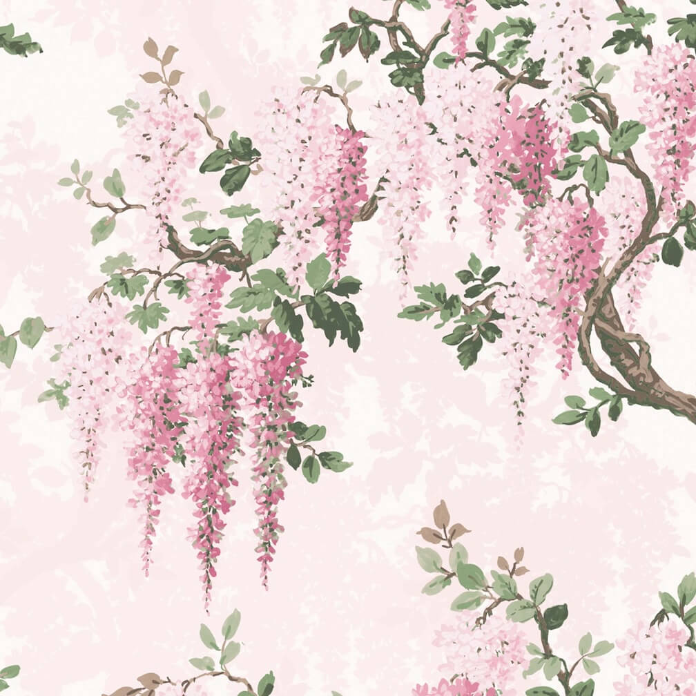 Wisteria Pretty Pink Wallpaper