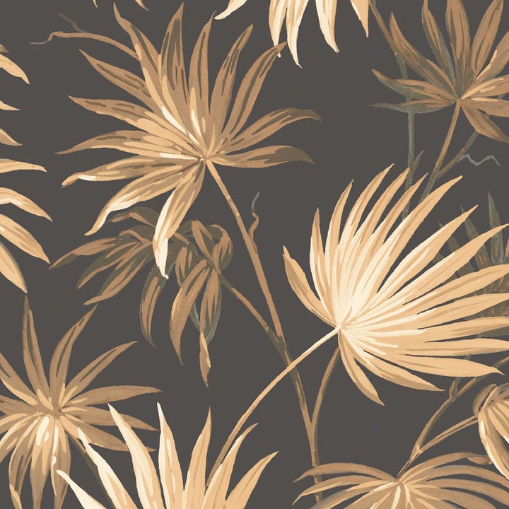 Va Va Frome Noir Black Wallpaper