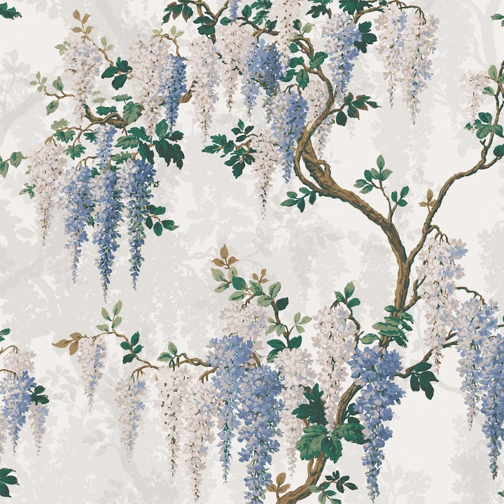 Wisteria in Cornflower Blue Wallpaper
