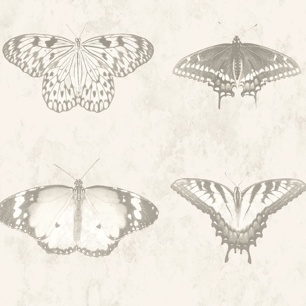 Woodchip & Magnolia Lepidoptera Magnolia Wallpaper