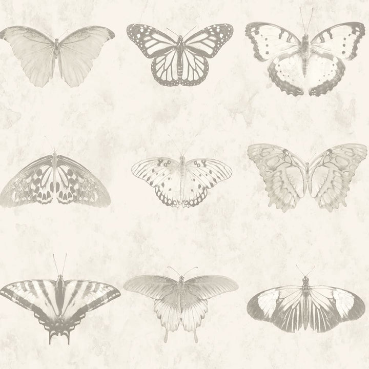 Woodchip & Magnolia Lepidoptera Magnolia Wallpaper