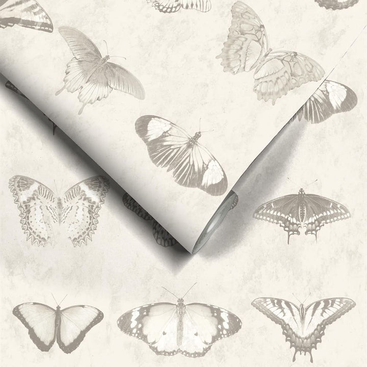 Woodchip & Magnolia Lepidoptera Magnolia Wallpaper