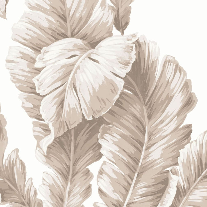 Lets Go Bananas Natural Wallpaper