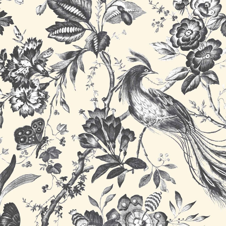 Plumage Charcoal / Cream Wallpaper