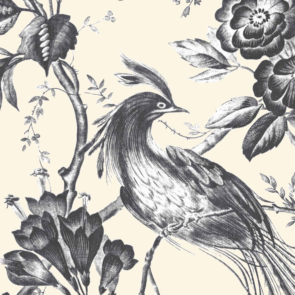 Plumage Charcoal / Cream Wallpaper