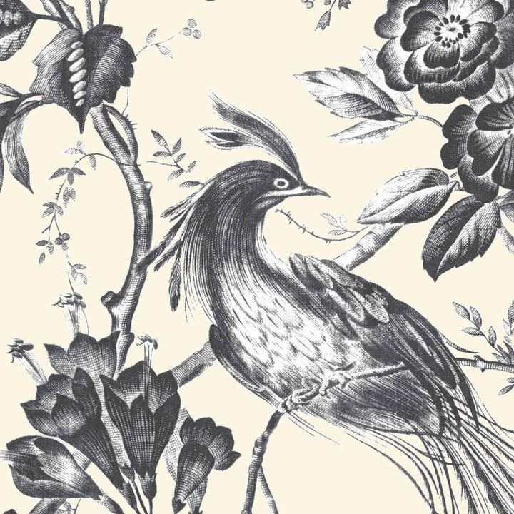 Plumage Charcoal / Cream Wallpaper