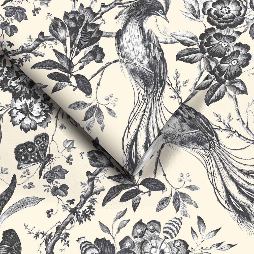 Plumage Charcoal / Cream Wallpaper