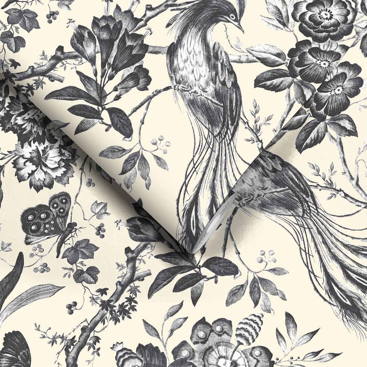 Plumage Charcoal / Cream Wallpaper
