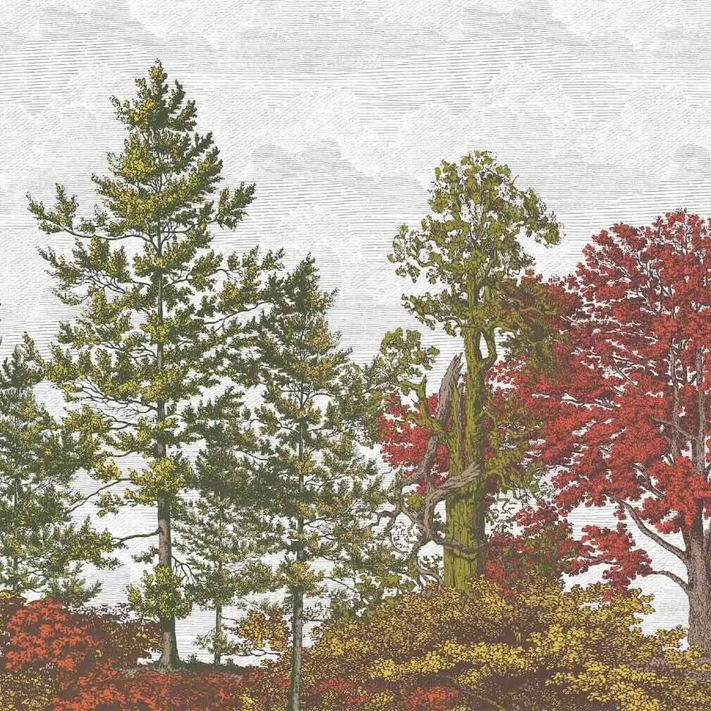 Woodchip & Magnolia Heaton Border - Autumn