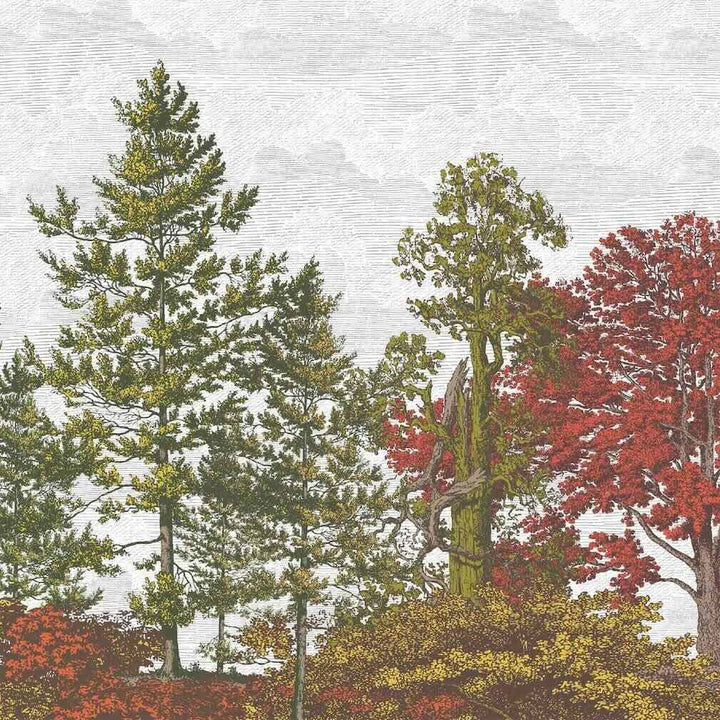 Woodchip & Magnolia Heaton Border - Autumn