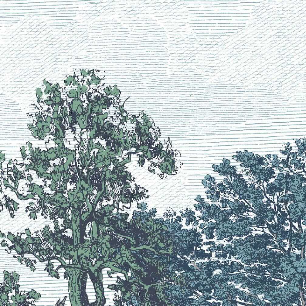 Woodchip & Magnolia Heaton Border - Reservoir Blue