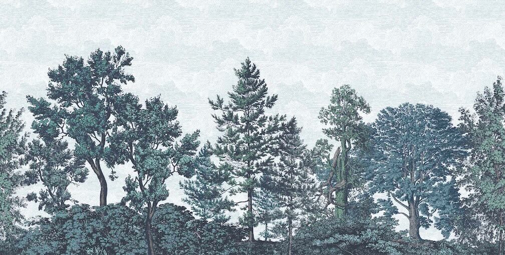 Woodchip & Magnolia Heaton Border - Reservoir Blue