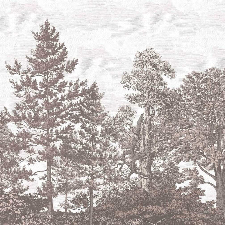 Woodchip & Magnolia Heaton Border - Blush