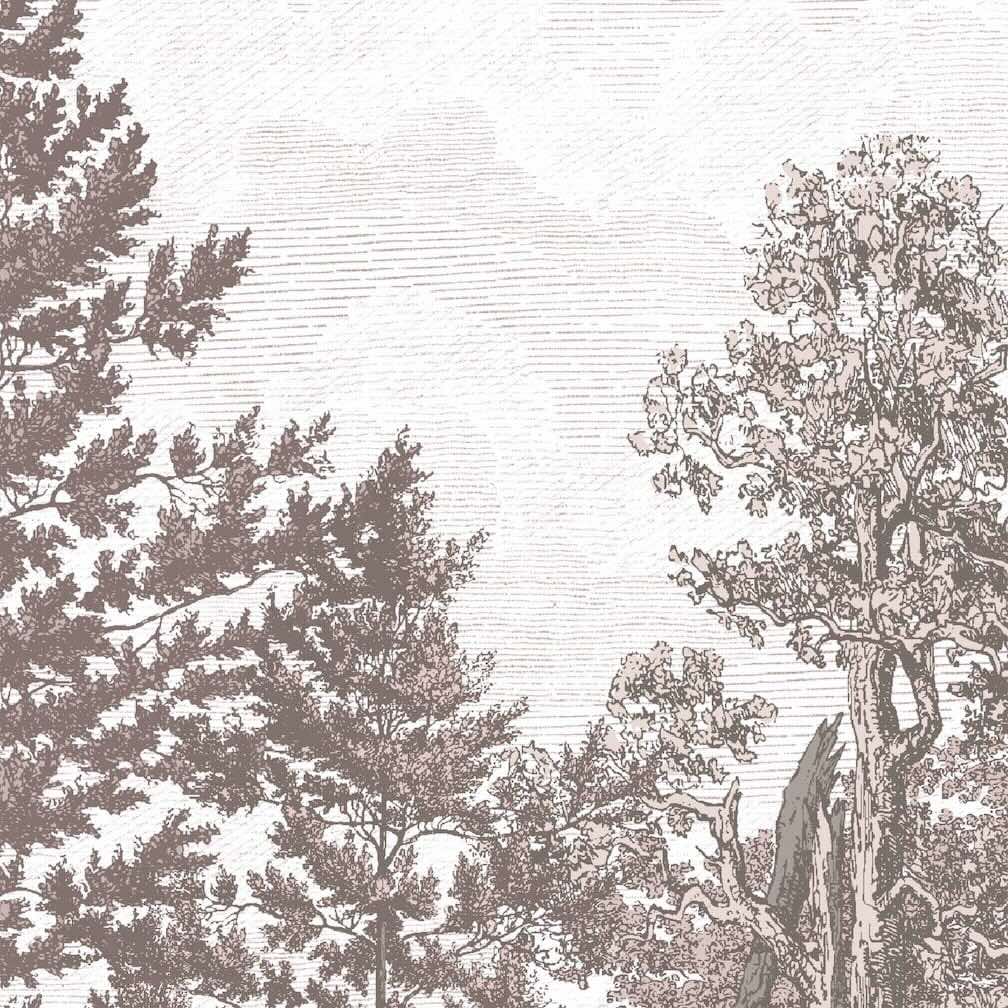 Woodchip & Magnolia Heaton Border - Blush