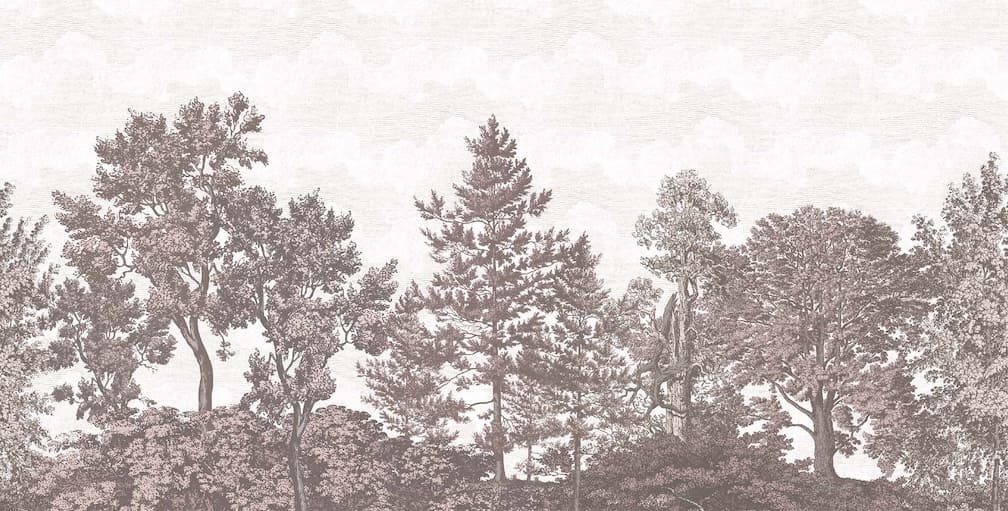 Woodchip & Magnolia Heaton Border - Blush