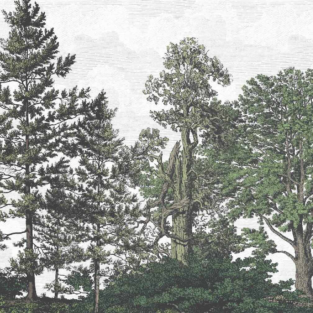 Woodchip & Magnolia Heaton Border - Green