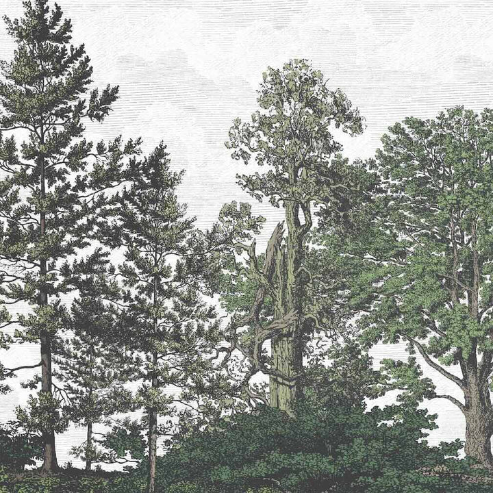 Woodchip & Magnolia Heaton Border - Green