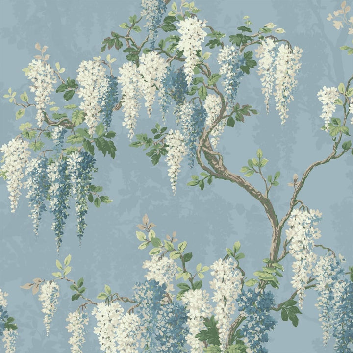 Woodchip & Magnolia Wisteria Botanical Powder Blue Wallpaper