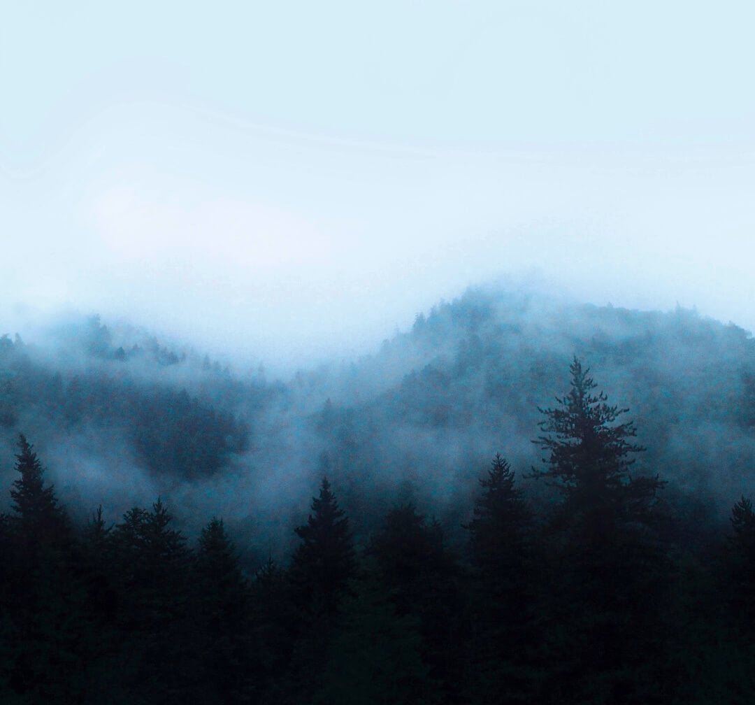 - Art for the Home Misty Landscape Navy Mural - 125729FXST - Decor Warehouse