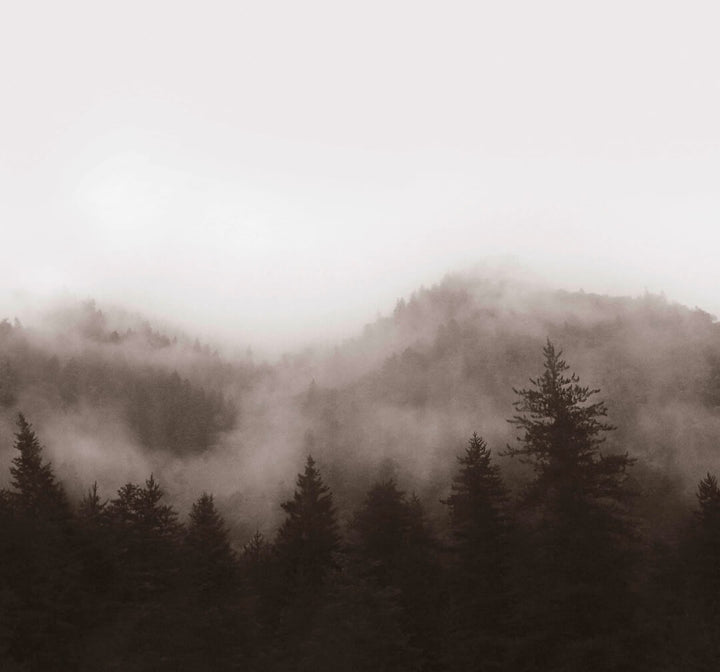  - Art for the Home Misty Landscape Neutral Mural - 125720FXST - Decor Warehouse