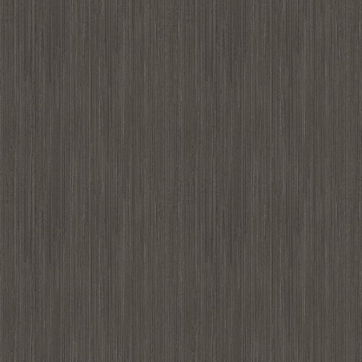 Arthouse Silk Cascade Charcoal Wallpaper - 100105AH