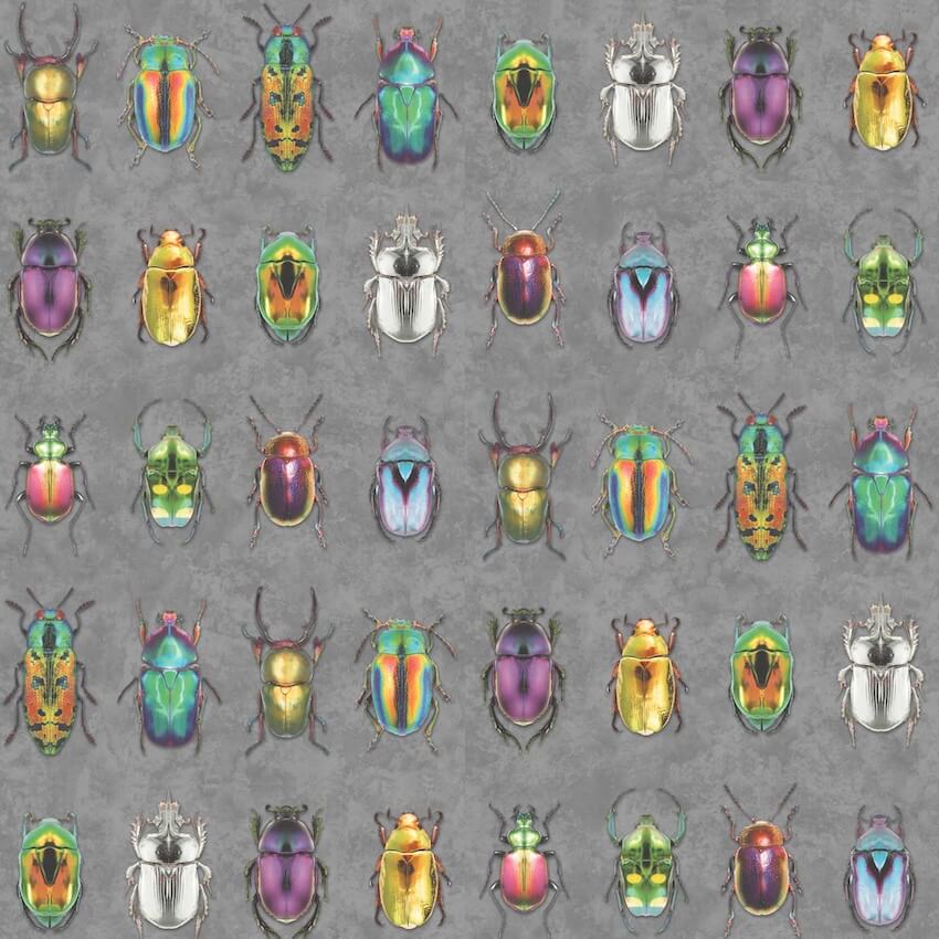 WM-092-1-Woodchip & Magnolia-Beetle Jewels Multi Charcoal Wallpaper-Decor Warehouse