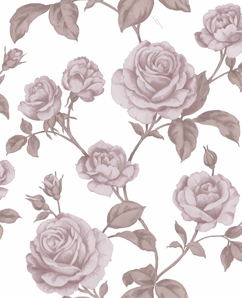 Boutique Countess - Pink Wallpaper - 104137