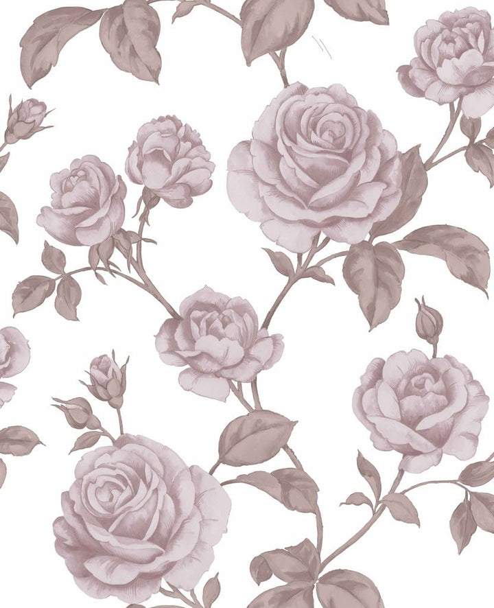 Boutique Countess - Pink Wallpaper - 104137