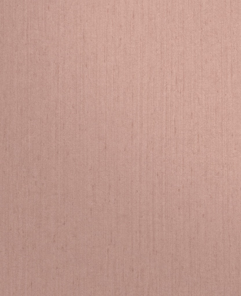 120374 - Clarissa Hulse - Clarissa Hulse Tisbury Shell Wallpaper - Decor Warehouse