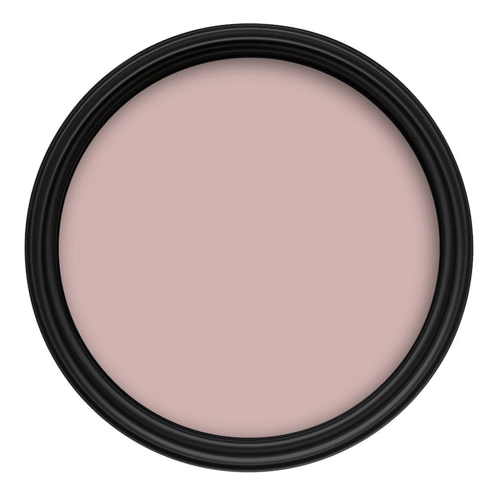 Crown Colour Edit Bianco Sfumato Paint - X6490R - MV - 10