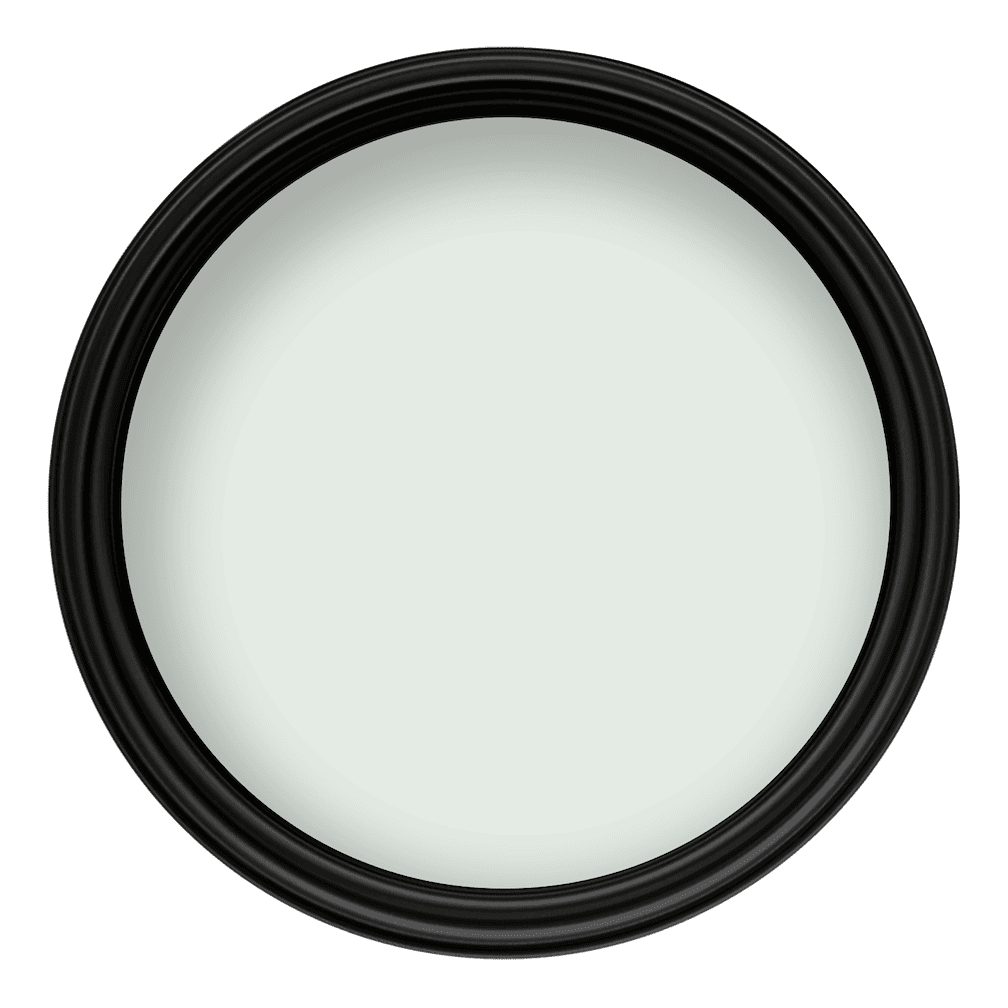 Crown Colour Edit Botanical Extract Paint - G0800H - MV - 10