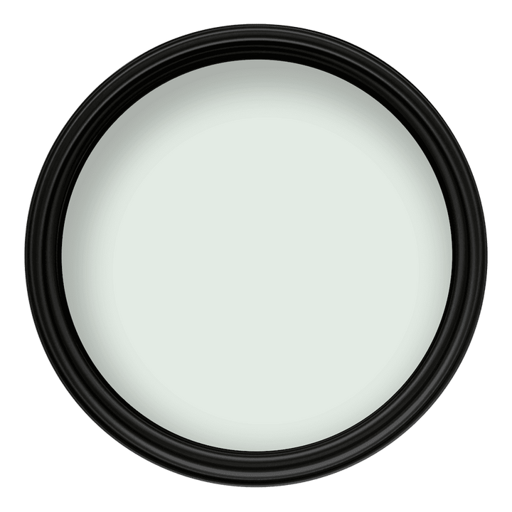 Crown Colour Edit Botanical Extract Paint - G0800H - MV - 10