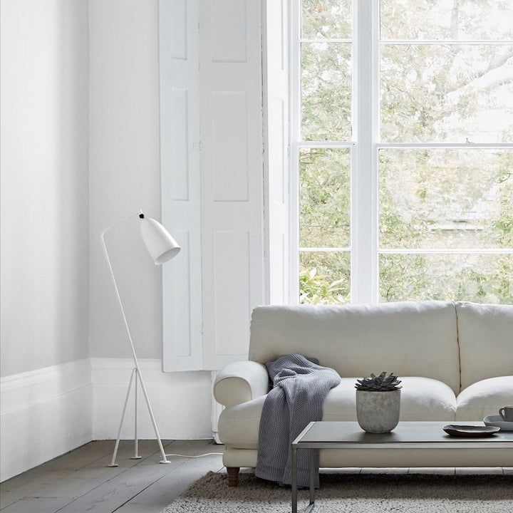 Crown Colour Edit Chalky White Paint -