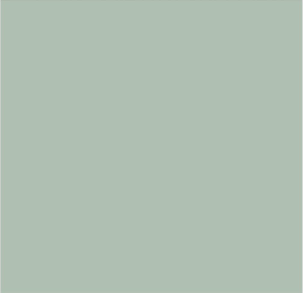 Crown Colour Edit Eucalipto Paint - F0490P - MV - 10