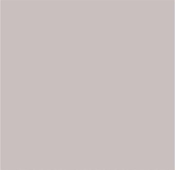 Crown Colour Edit Hushed Paint - X4550F - MV - 10