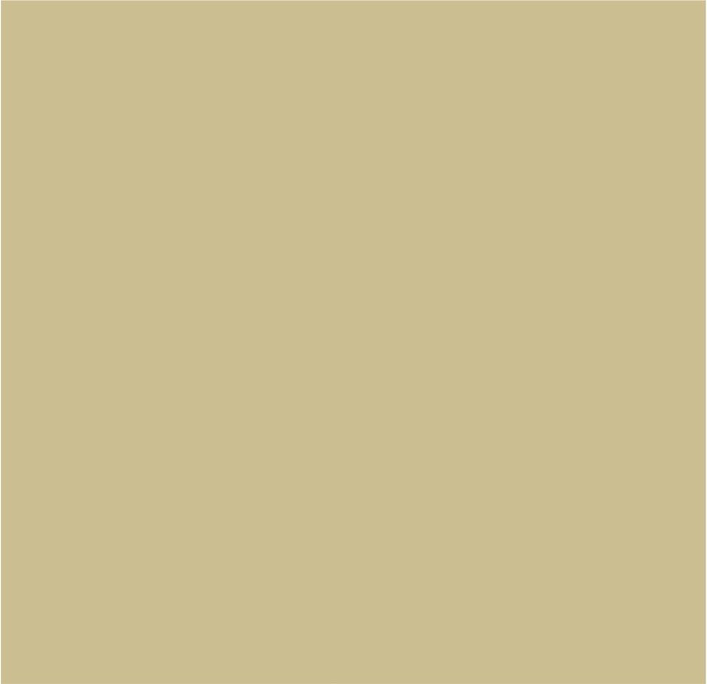 Crown Colour Edit Knotted Paint - B9501J - MV - 10