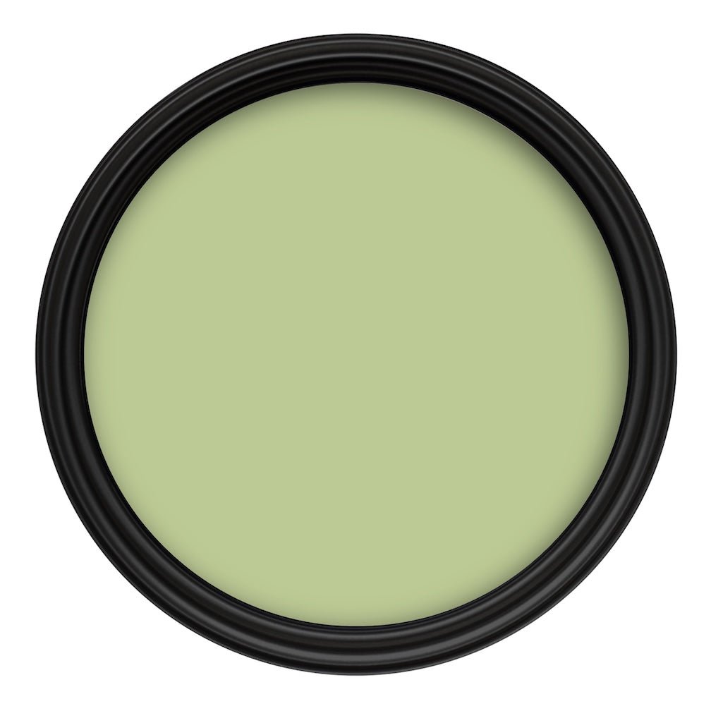 Crown Colour Edit Lea Green Paint - D0531M - MV - 10