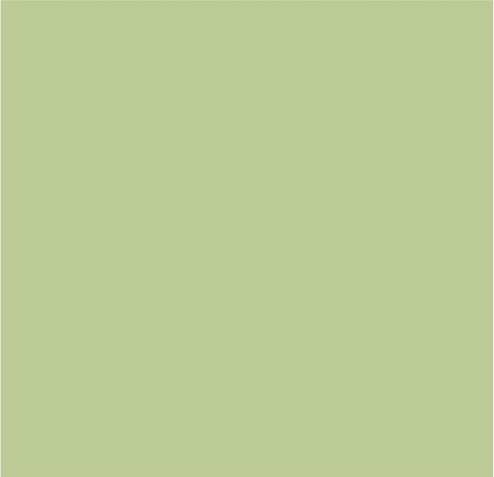 Crown Colour Edit Lea Green Paint - D0531M - MV - 10