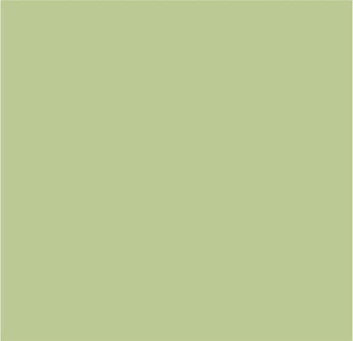 Crown Colour Edit Lea Green Paint - D0531M - MV - 10