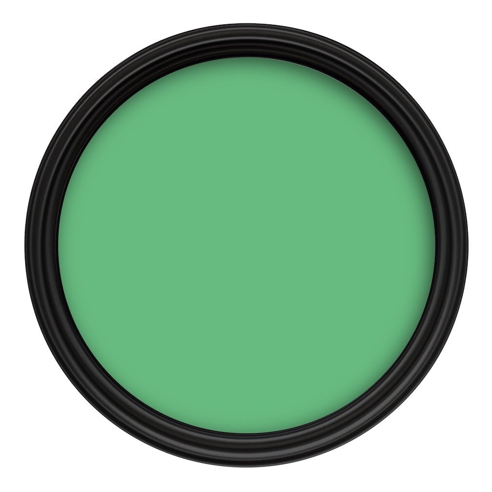 Crown Colour Edit Murray Mint Paint - F4403B - MV - 10