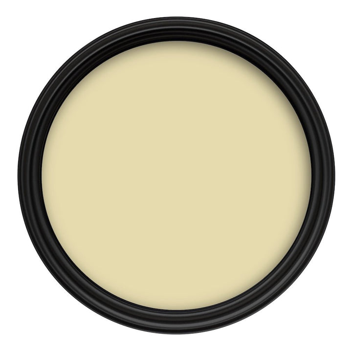 Crown Colour Edit Narrative Pale Paint - C0691F - MV - 10