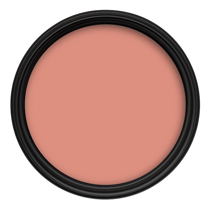 Crown Colour Edit Neroli Paint - Y1352A - MV - 10