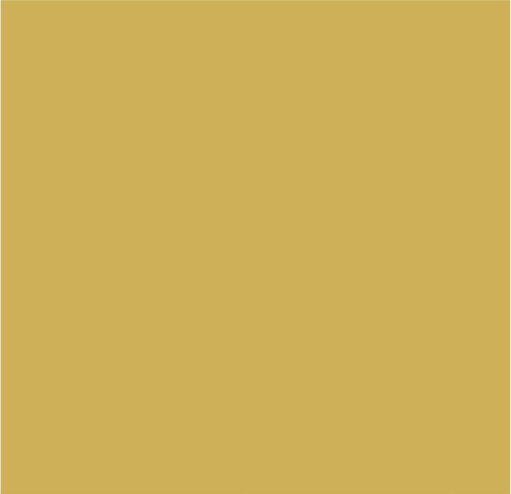 Crown Colour Edit Odyssey Paint - B5432R - MV - 10