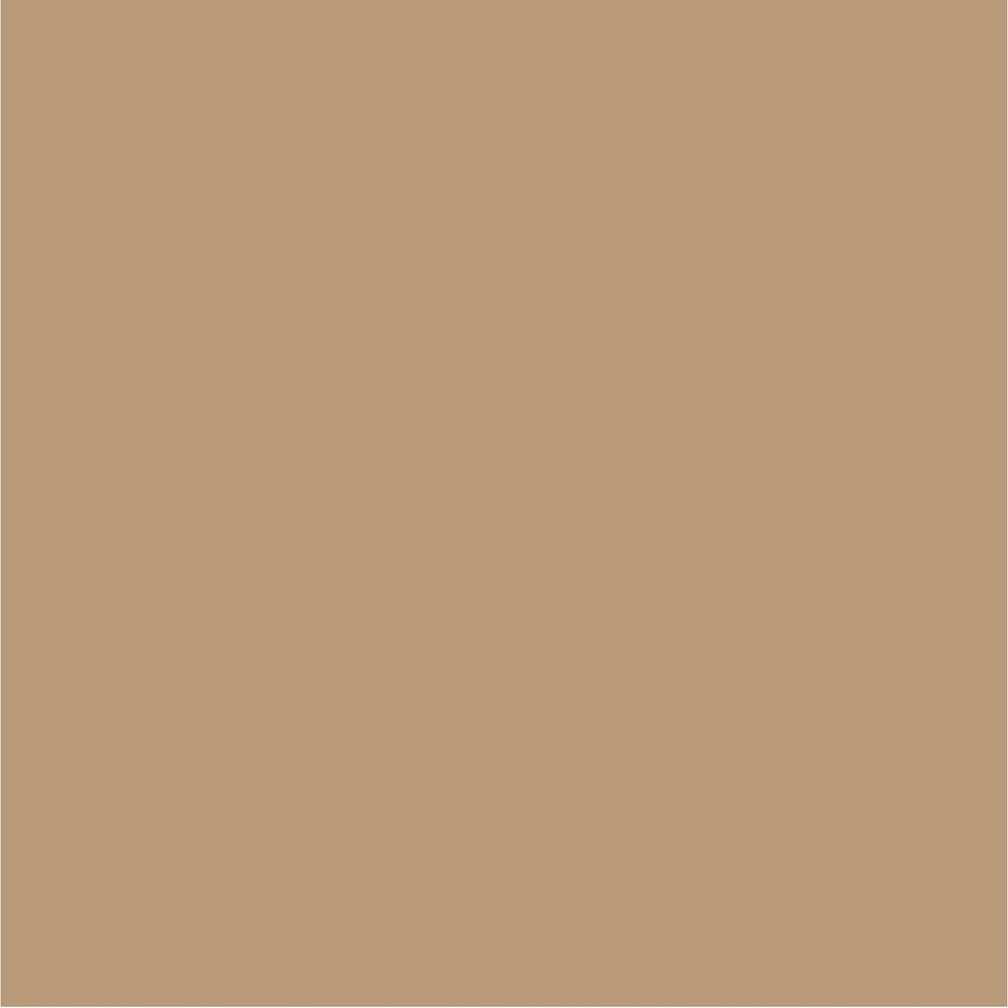 Crown Colour Edit Tanned Paint - A5331G - MV - 10