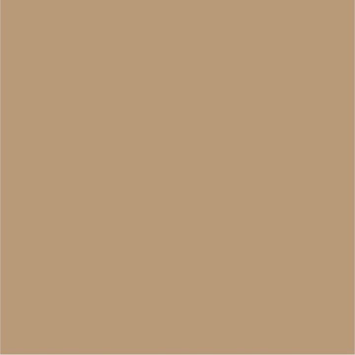 Crown Colour Edit Tanned Paint - A5331G - MV - 10
