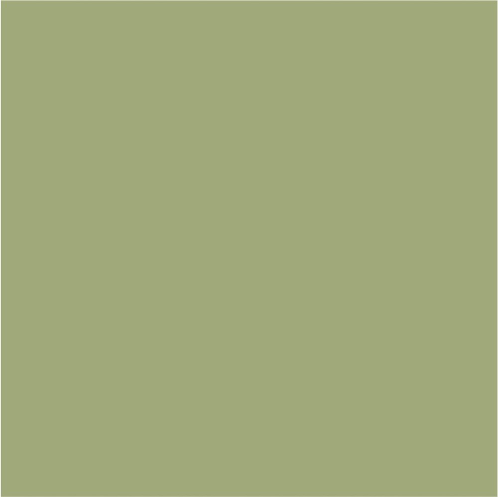 Crown Colour Edit The Bontanist Paint - C8361N - MV - 10