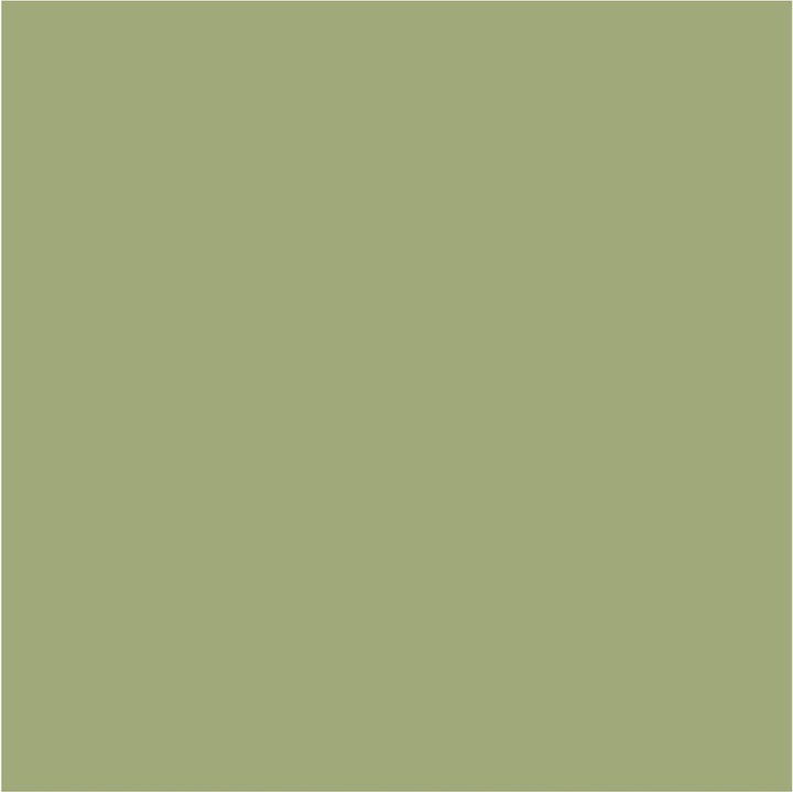 Crown Colour Edit The Bontanist Paint - C8361N - MV - 10