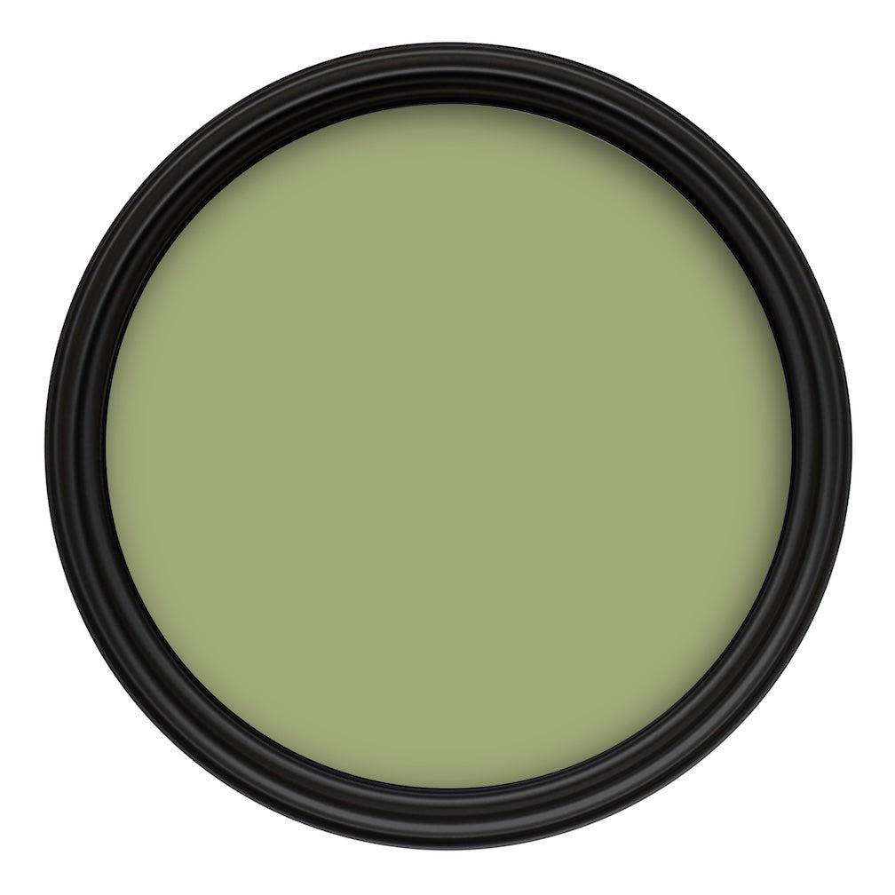 Crown Colour Edit The Bontanist Paint - C8361N - MV - 10