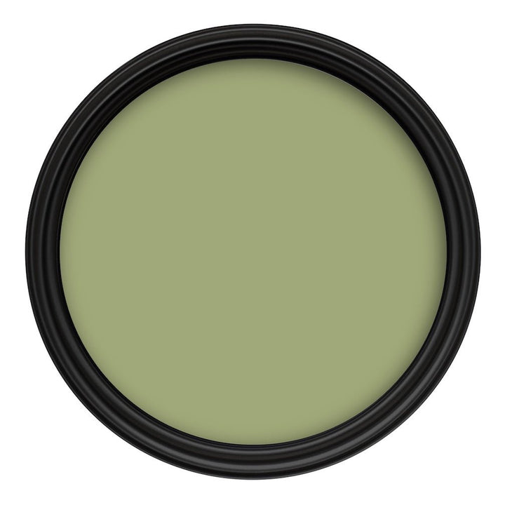 Crown Colour Edit The Bontanist Paint - C8361N - MV - 10