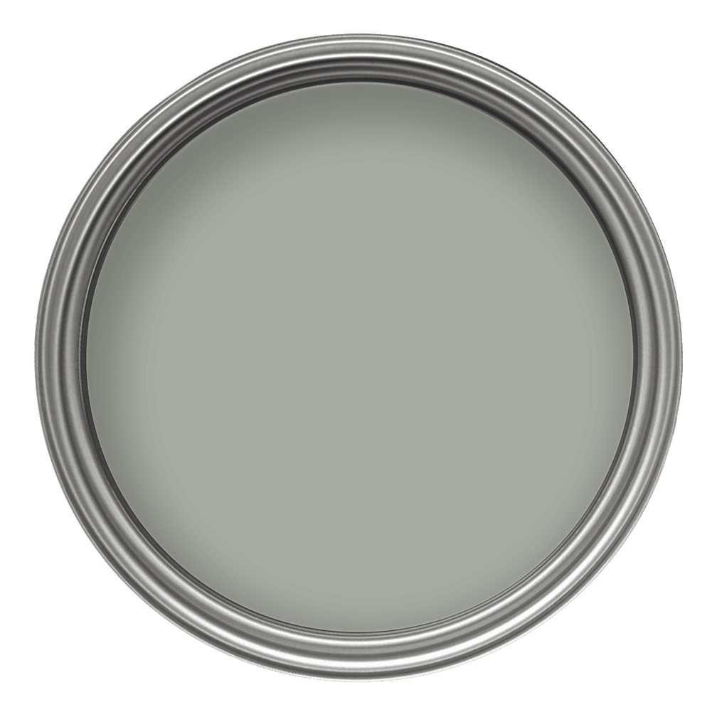 Crown Colour Edit Trailing Plant Paint -